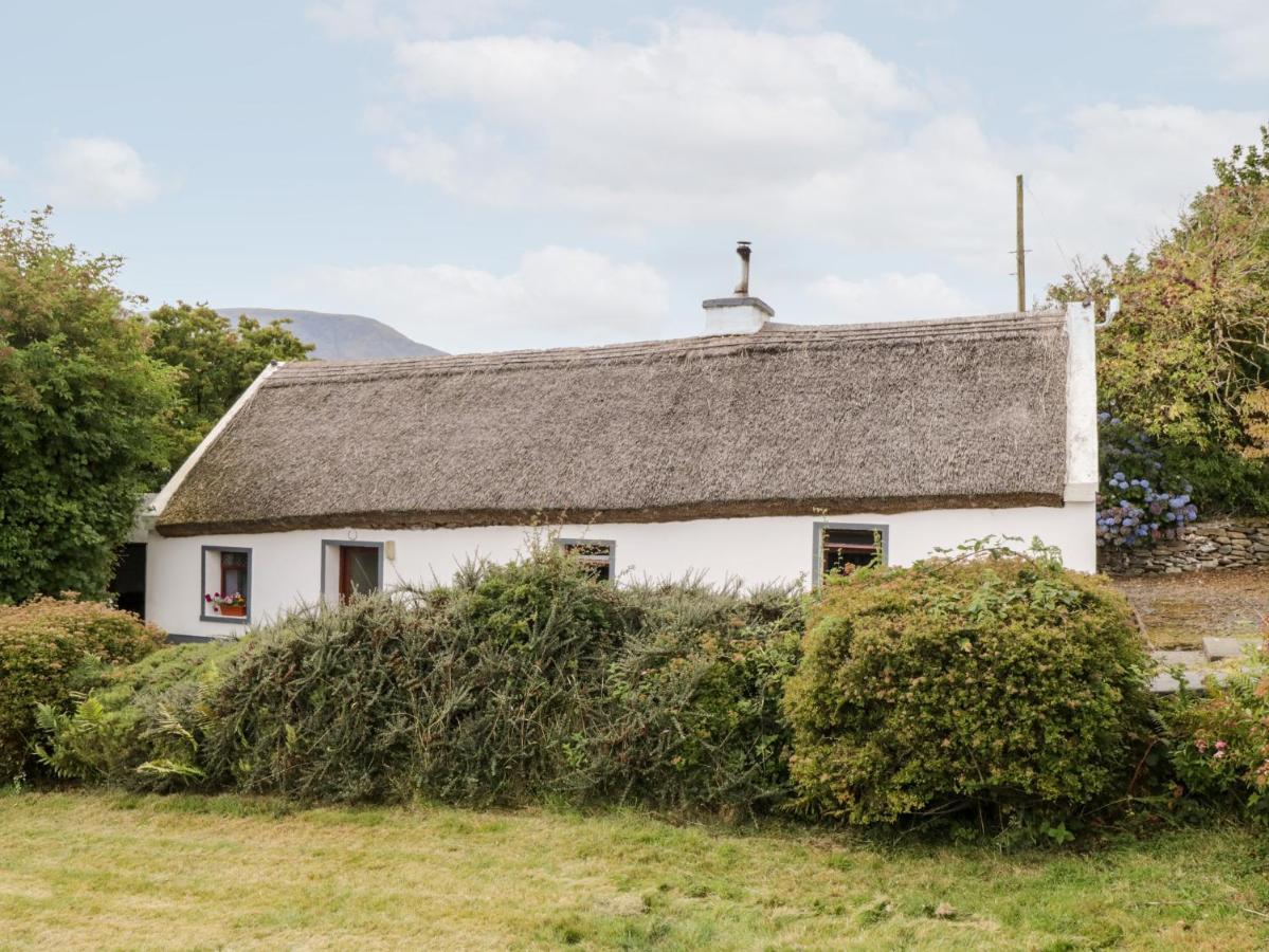 The Thatched Cottage Liscarney Buitenkant foto